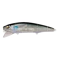 Amazon | Megabass SAZANKA 140F FA イワシ | メガバス(Megabass